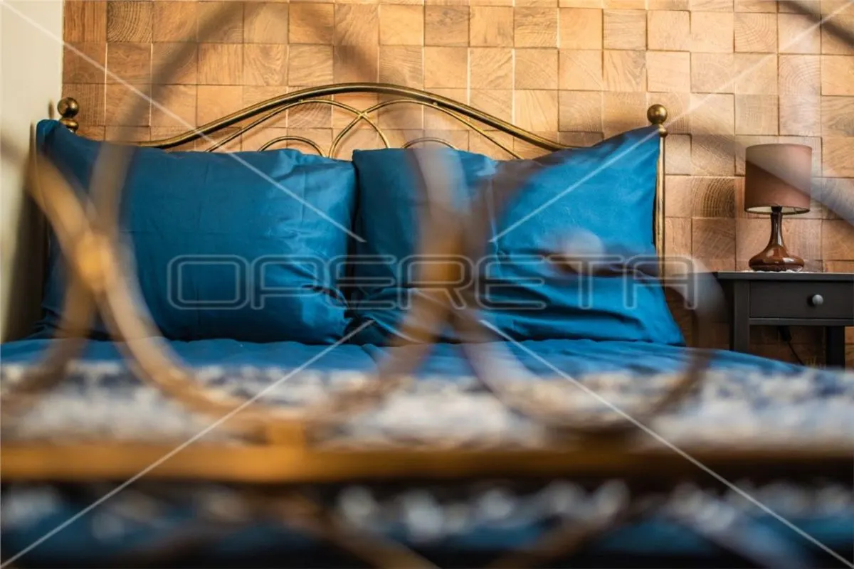 Casa vila de vanzare in Croatia, Groznjan - foto 23