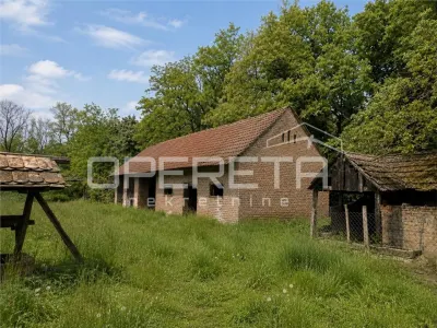 Villa Rural con Tierras Agrícolas en Venta en Brodic, Croacia - Podravske Sesvete