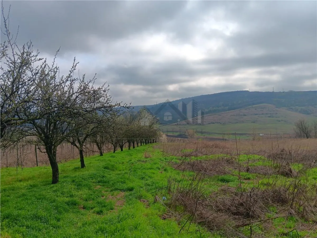 Aroneanu - Dorobant : Terrain 46 000 m², PUZ Approuvé pour 59 Maisons - foto 2