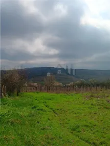 Aroneanu - Dorobant : Terrain 46 000 m², PUZ Approuvé pour 59 Maisons - foto 3