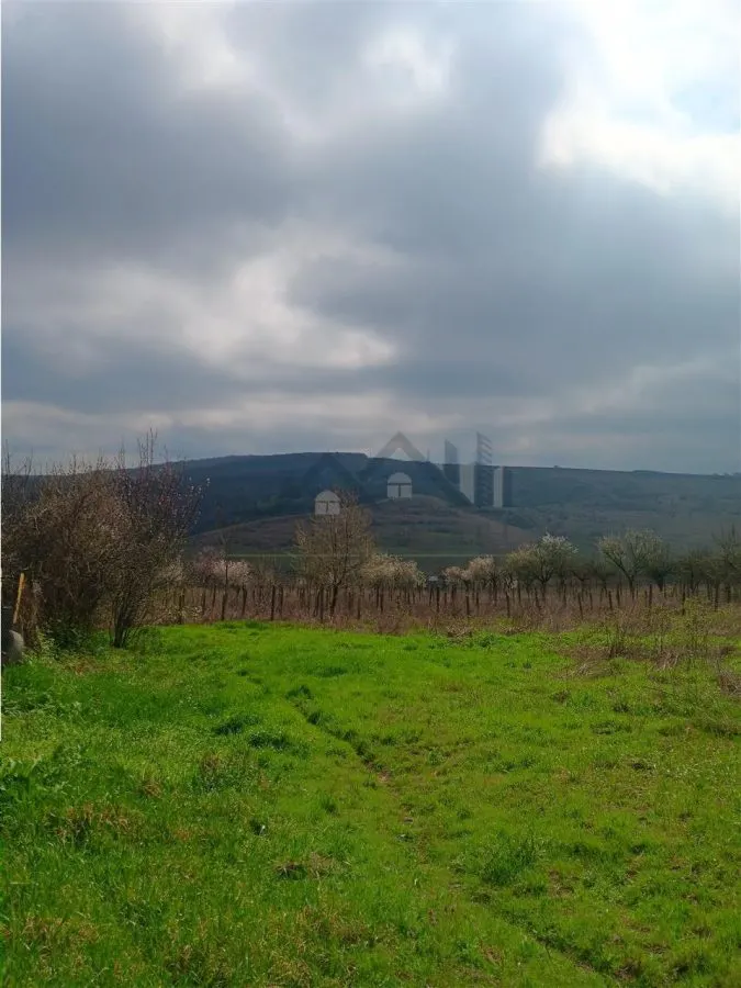 Aroneanu - Dorobant : Terrain 46 000 m², PUZ Approuvé pour 59 Maisons - foto 3