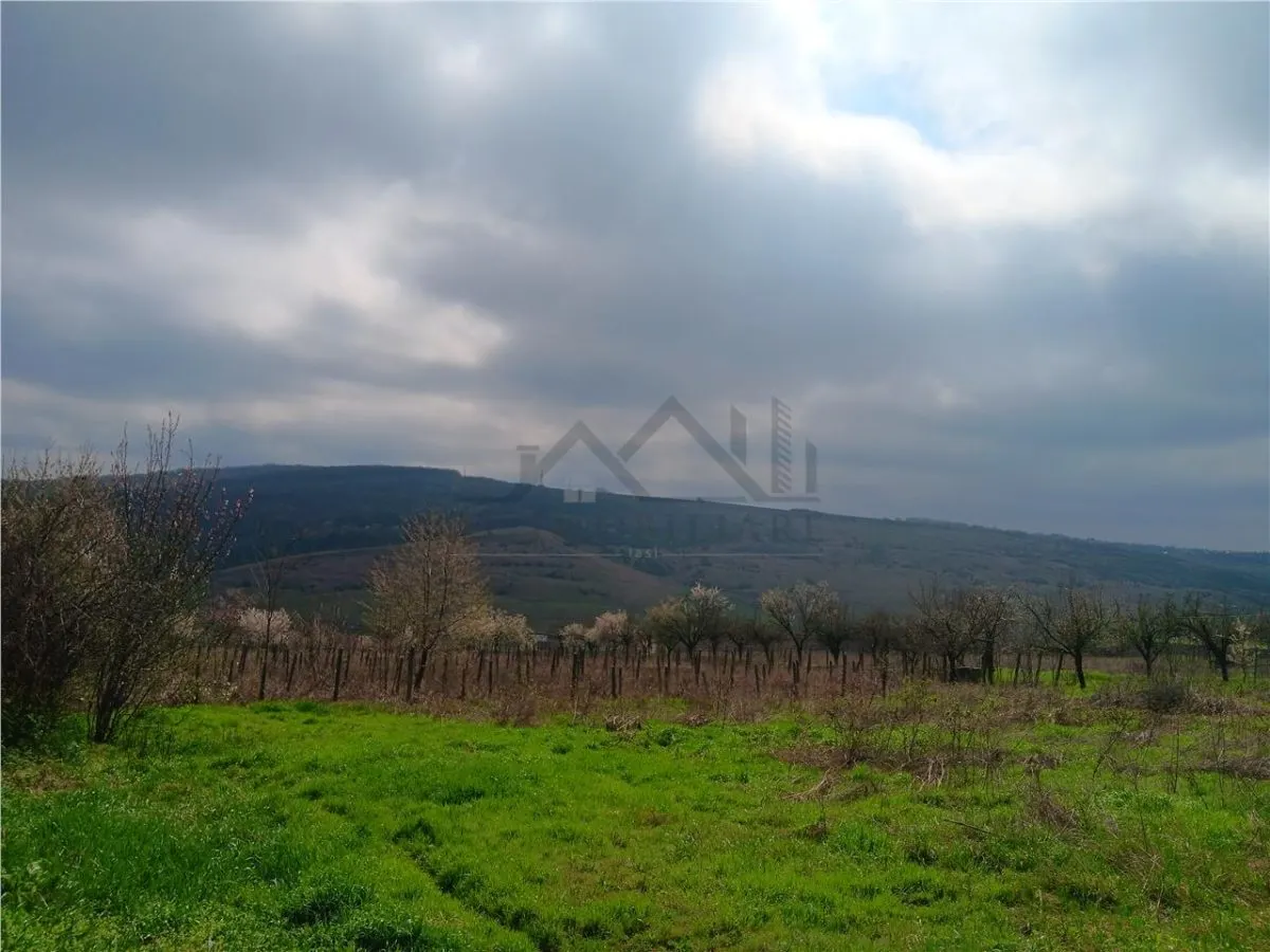 Aroneanu - Dorobant : Terrain 46 000 m², PUZ Approuvé pour 59 Maisons - foto 4