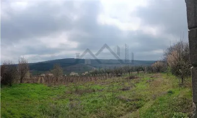 Aroneanu - Dorobant : Terrain 46 000 m², PUZ Approuvé pour 59 Maisons - foto 5