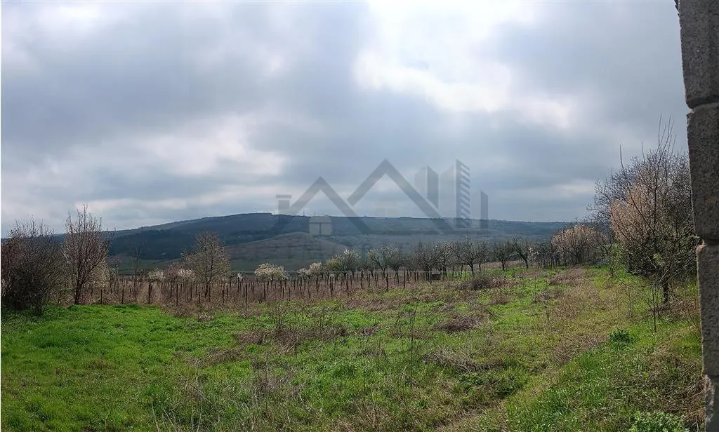 Aroneanu - Dorobant : Terrain 46 000 m², PUZ Approuvé pour 59 Maisons - foto 5