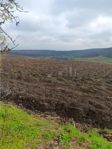 Aroneanu - Dorobant : Terrain 46 000 m², PUZ Approuvé pour 59 Maisons - foto 6