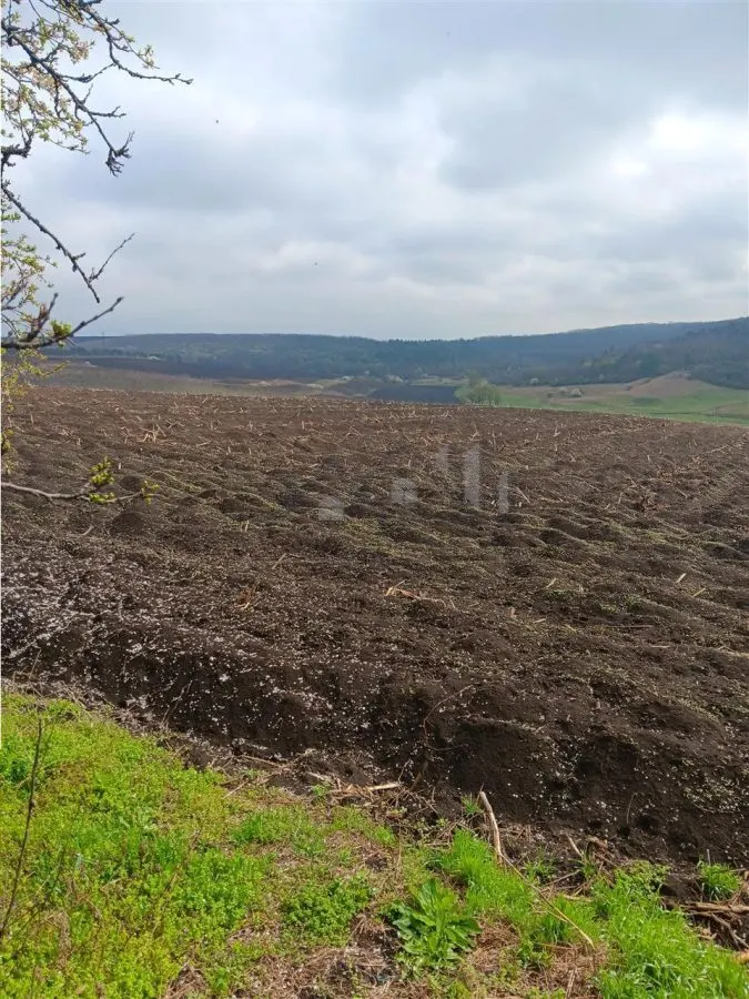 Aroneanu - Dorobant : Terrain 46 000 m², PUZ Approuvé pour 59 Maisons - foto 6