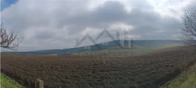 Aroneanu - Dorobant : Terrain 46 000 m², PUZ Approuvé pour 59 Maisons - foto 8