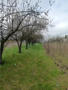Aroneanu - Dorobant : Terrain 46 000 m², PUZ Approuvé pour 59 Maisons - foto 9