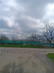 Aroneanu - Dorobant : Terrain 46 000 m², PUZ Approuvé pour 59 Maisons - foto 10