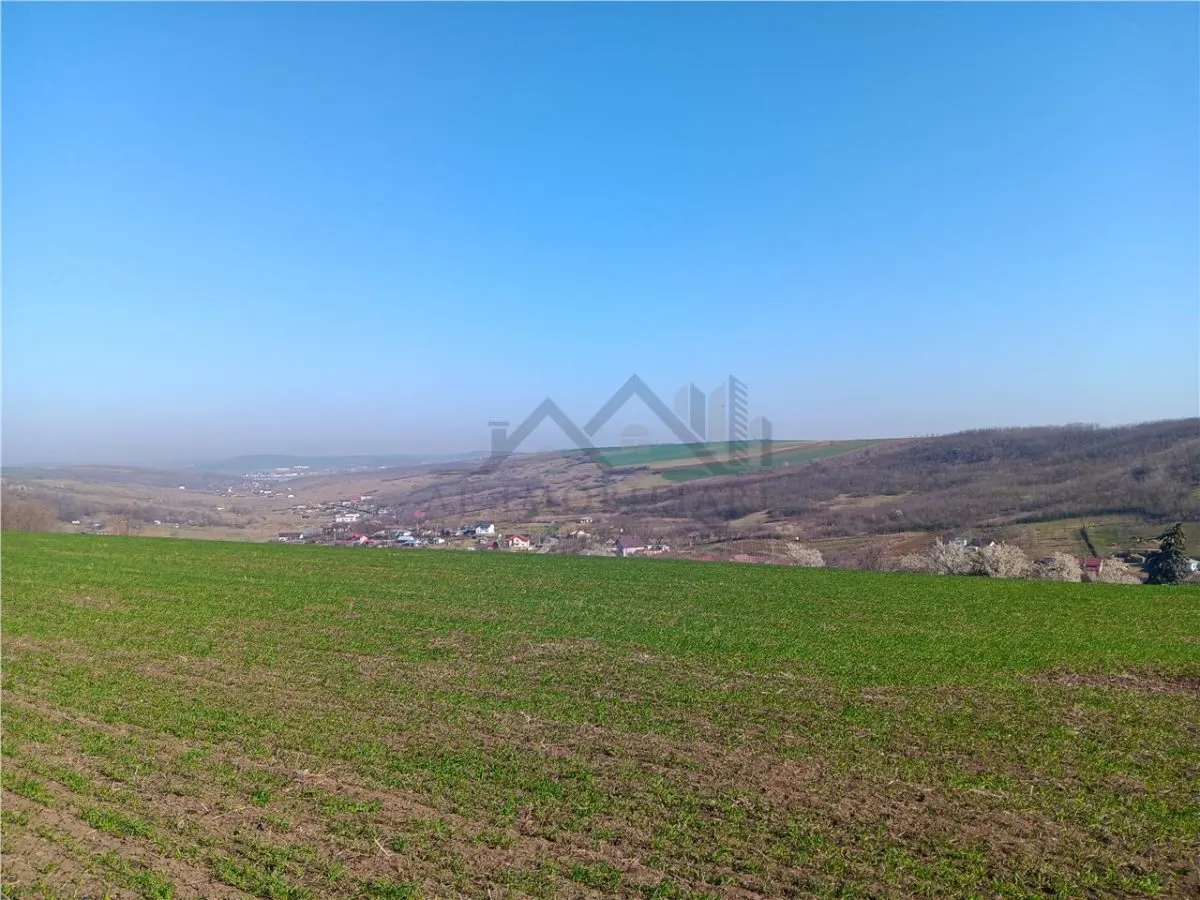 Opportunité Exceptionnelle : Ancienne Ferme, 83.000 m² – Vorovesti, 15€/m² - foto 3