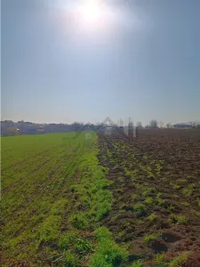 Opportunité Exceptionnelle : Ancienne Ferme, 83.000 m² – Vorovesti, 15€/m² - foto 4