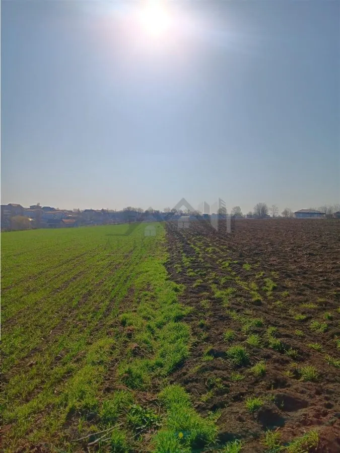 Opportunité Exceptionnelle : Ancienne Ferme, 83.000 m² – Vorovesti, 15€/m² - foto 4