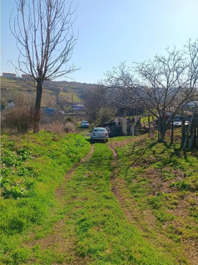 Opportunité Exceptionnelle : Ancienne Ferme, 83.000 m² – Vorovesti, 15€/m² - foto 5