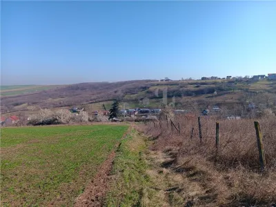 Opportunité Exceptionnelle : Ancienne Ferme, 83.000 m² – Vorovesti, 15€/m² - foto 8