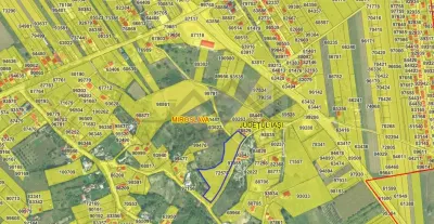 Ciurbesti Quartier Église – Terrain de 7.000 m² Viabilisé - foto 3