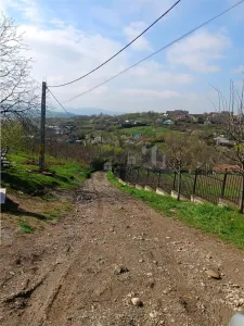 Ciurbesti Quartier Église – Terrain de 7.000 m² Viabilisé - foto 4