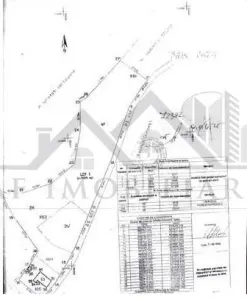 Ciurbesti Quartier Église – Terrain de 7.000 m² Viabilisé - foto 5