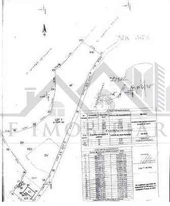 Ciurbesti Quartier Église – Terrain de 7.000 m² Viabilisé - foto 5