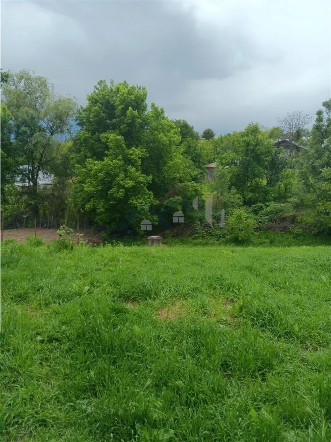 Ciurbesti Traditional House with 1,347 sqm Land - foto 6