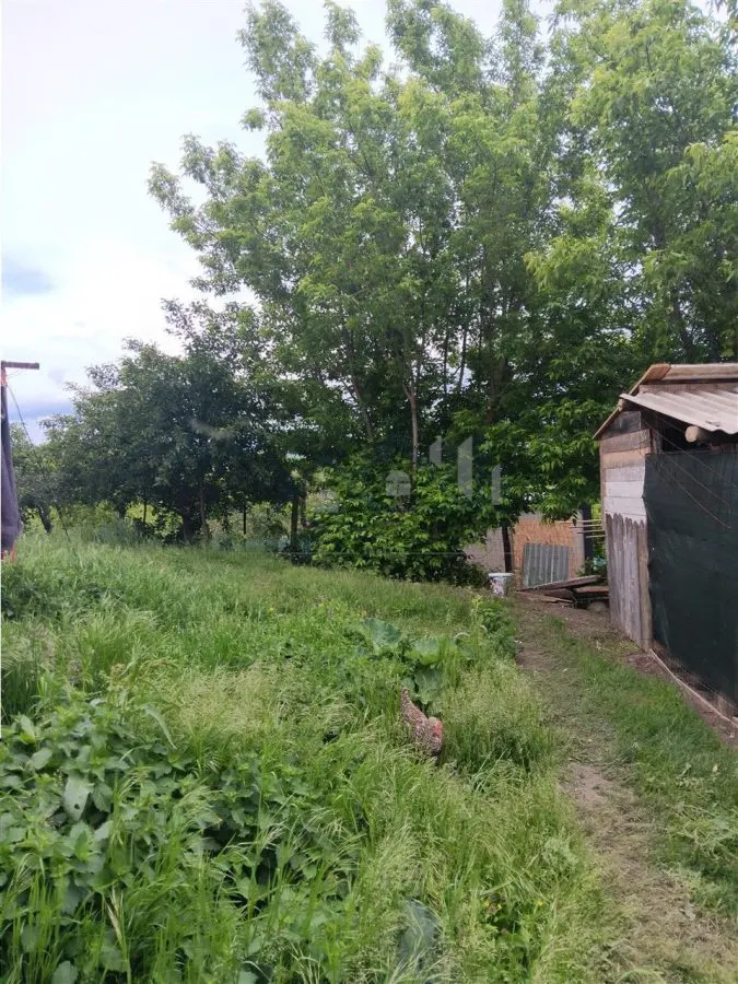 Ciurbesti Traditional House with 1,347 sqm Land - foto 7