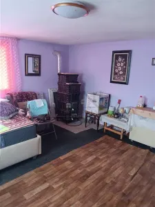 Ciurbesti Traditional House with 1,347 sqm Land - foto 9
