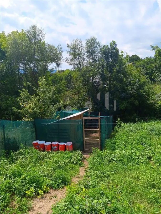 Excellente Opportunité: Terrain Ciurbesti 700m² avec Permis de Construire - foto 3