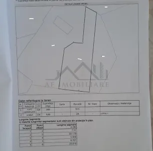 Excellente Opportunité: Terrain Ciurbesti 700m² avec Permis de Construire - foto 4