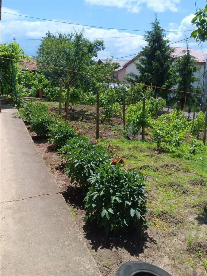 Villa Copou P+M 165sqm avec Terrain 1000sqm Limitrophe Jardin Botanique - foto 1