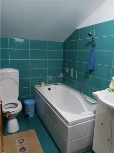 Villa Copou P+M 165sqm avec Terrain 1000sqm Limitrophe Jardin Botanique - foto 11