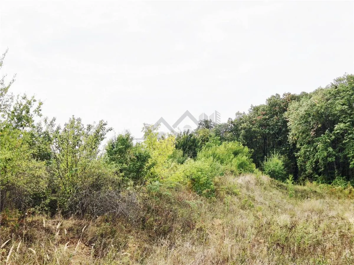Terrain à Bâtir avec Vues Panoramiques - foto 4