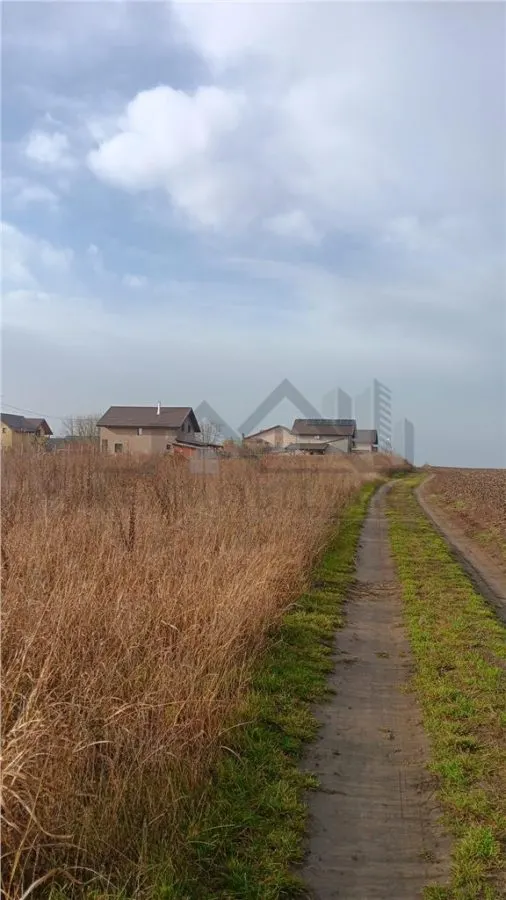 Rue Aroneanu, Viisoarei: Deux Terrains Constructibles de 650 m² - foto 8