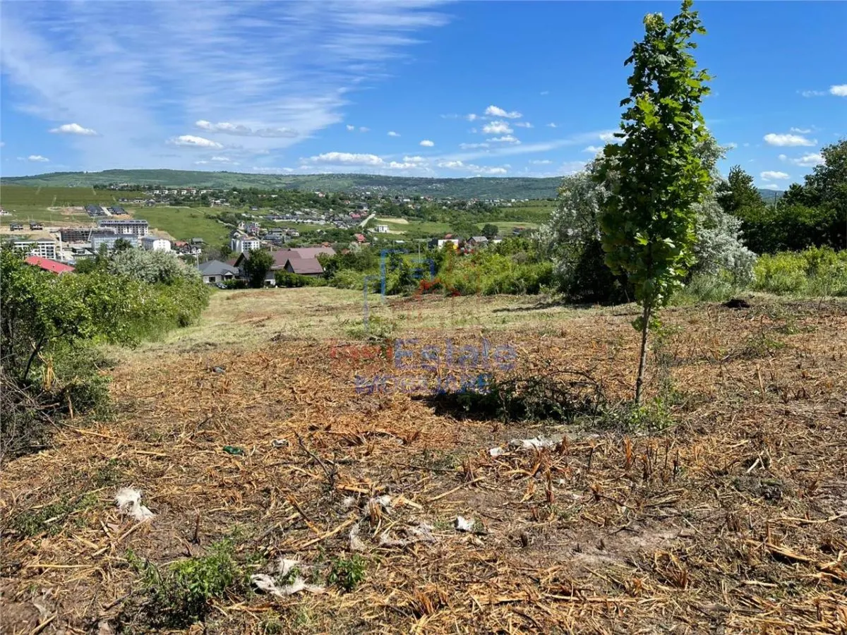 Opportunité : Terrain Visan 1616 m², Parcelle Trapézoïdale - foto 2