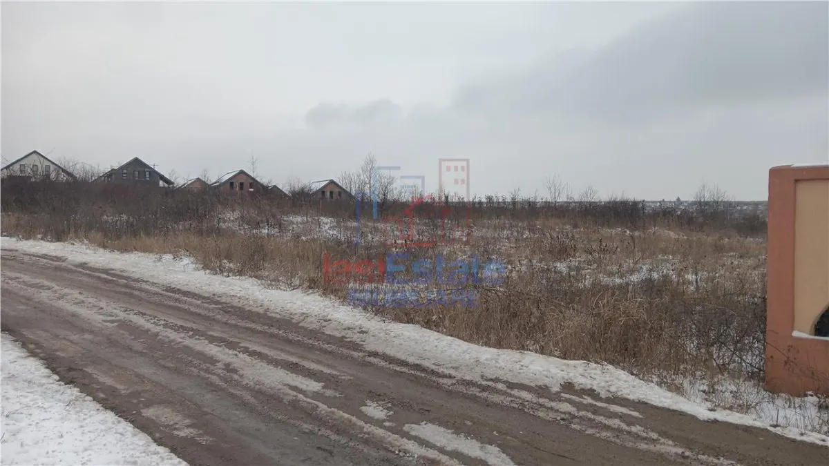 Visan, Dealul Craitelor – Terrain 6.383 m² + 4.217 m² avec Réseaux - foto 2
