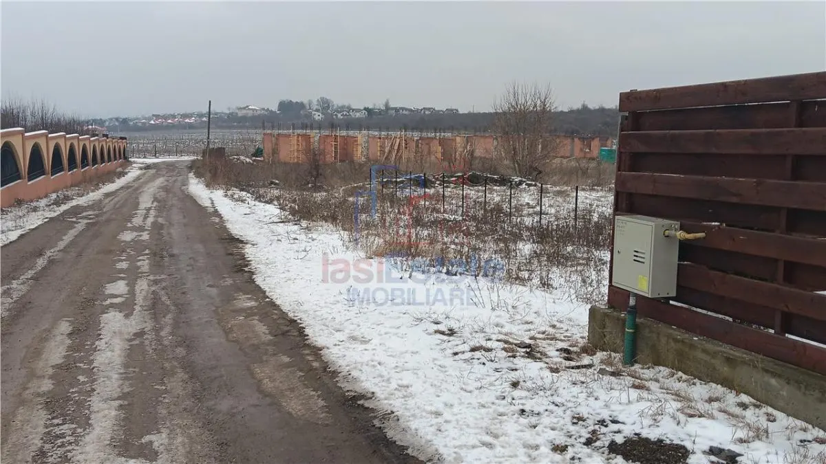 Visan, Dealul Craitelor – Terrain 6.383 m² + 4.217 m² avec Réseaux - foto 8