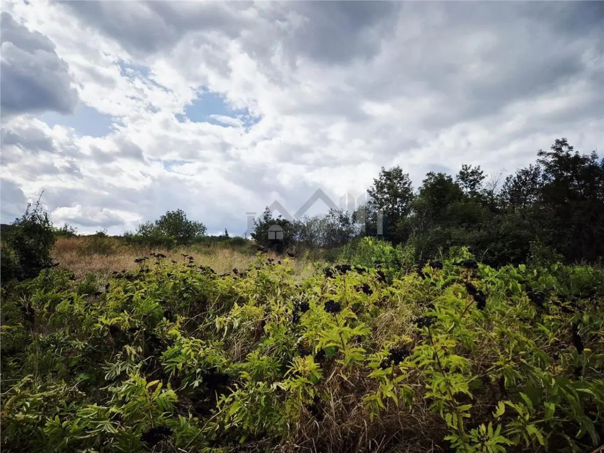 Terrain à Bâtir avec Vue Dégagée, Goruni-Tomesti - foto 3