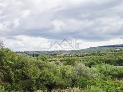 Terrain à Bâtir avec Vue Dégagée, Goruni-Tomesti - foto 4