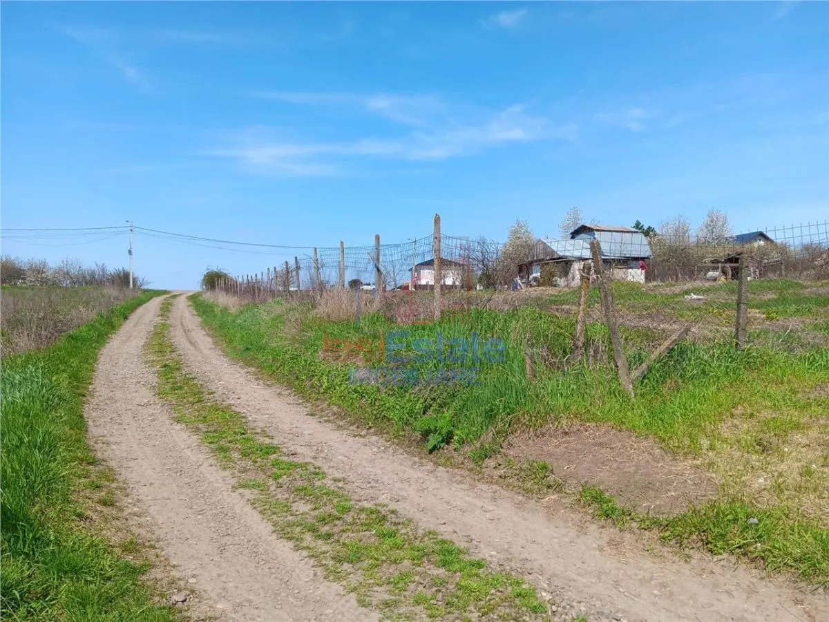 Vorovesti Terrain 500 m², à 50m de la Route Principale - foto 3