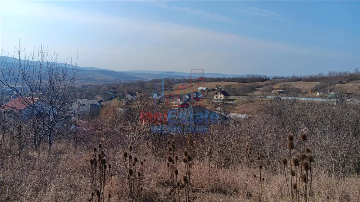 Village Cercu, Barnova: Terrain de 3,000 m² avec Constructions Anciennes - foto 7