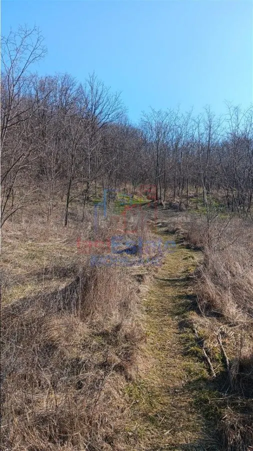 Village Cercu, Barnova: Terrain de 3,000 m² avec Constructions Anciennes - foto 8