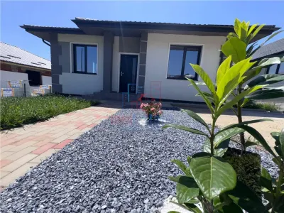 Maison d'Exception 4 Chambres avec 2 Salles de Bain, Cave et Terrasse à Valea Adanca - Iasi