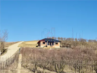 Detached House with Stunning Forest Views - Barnova