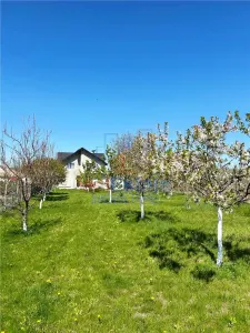 Maison Individuelle Spacieuse avec 5 Chambres – Terrain de 1.166 m² - Tutora