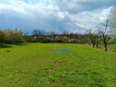 Badeni Centre, Scobinti, Iași: Terrain de 3.000 m² Divisible avec Toutes Utilités - foto 3