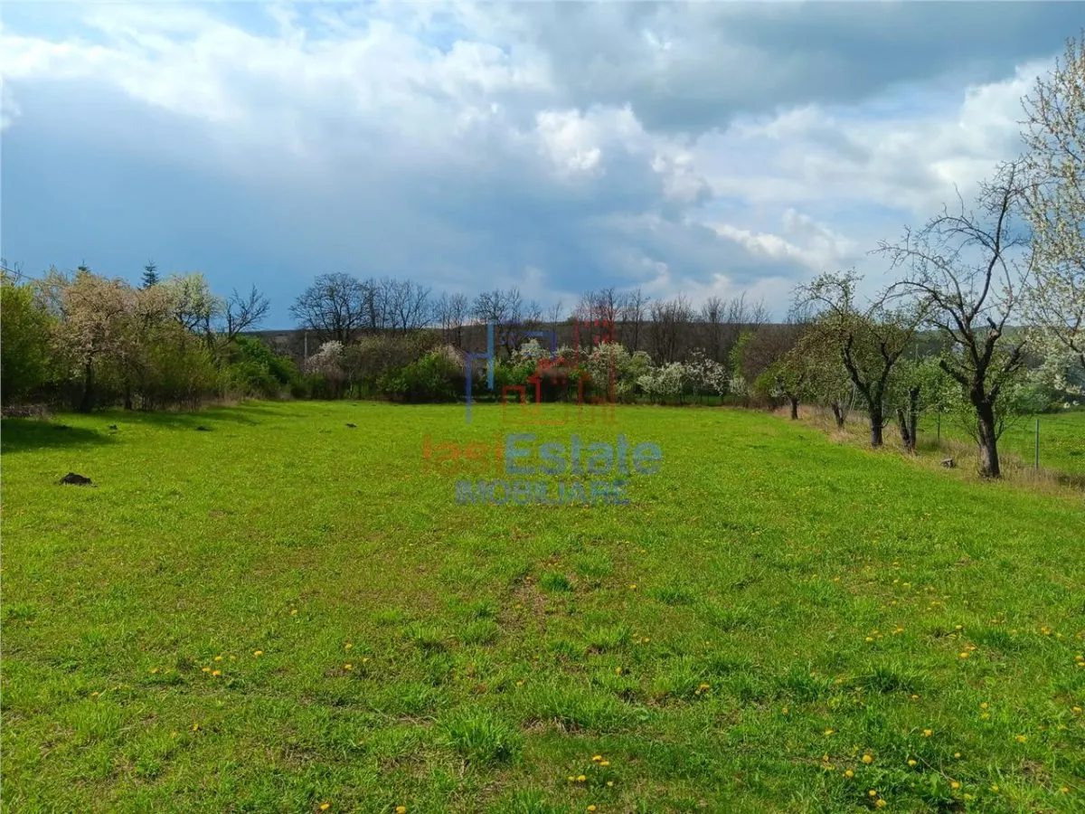 Badeni Centre, Scobinti, Iași: Terrain de 3.000 m² Divisible avec Toutes Utilités - foto 3