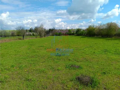 Badeni Centre, Scobinti, Iași: Terrain de 3.000 m² Divisible avec Toutes Utilités - foto 5