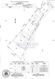 Badeni Centre, Scobinti, Iași: Terrain de 3.000 m² Divisible avec Toutes Utilités - foto 6