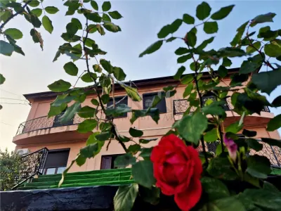 Casa tip duplex spatioasa cu garaj - Iasi