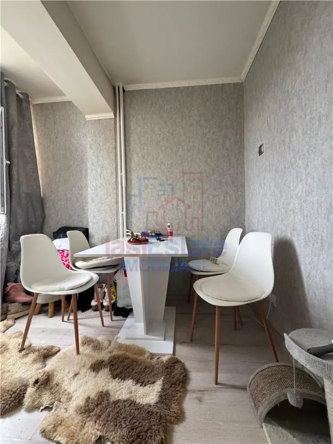 Studio, Alexandru cel Bun, Str Plaiesilor, Iași - foto 1