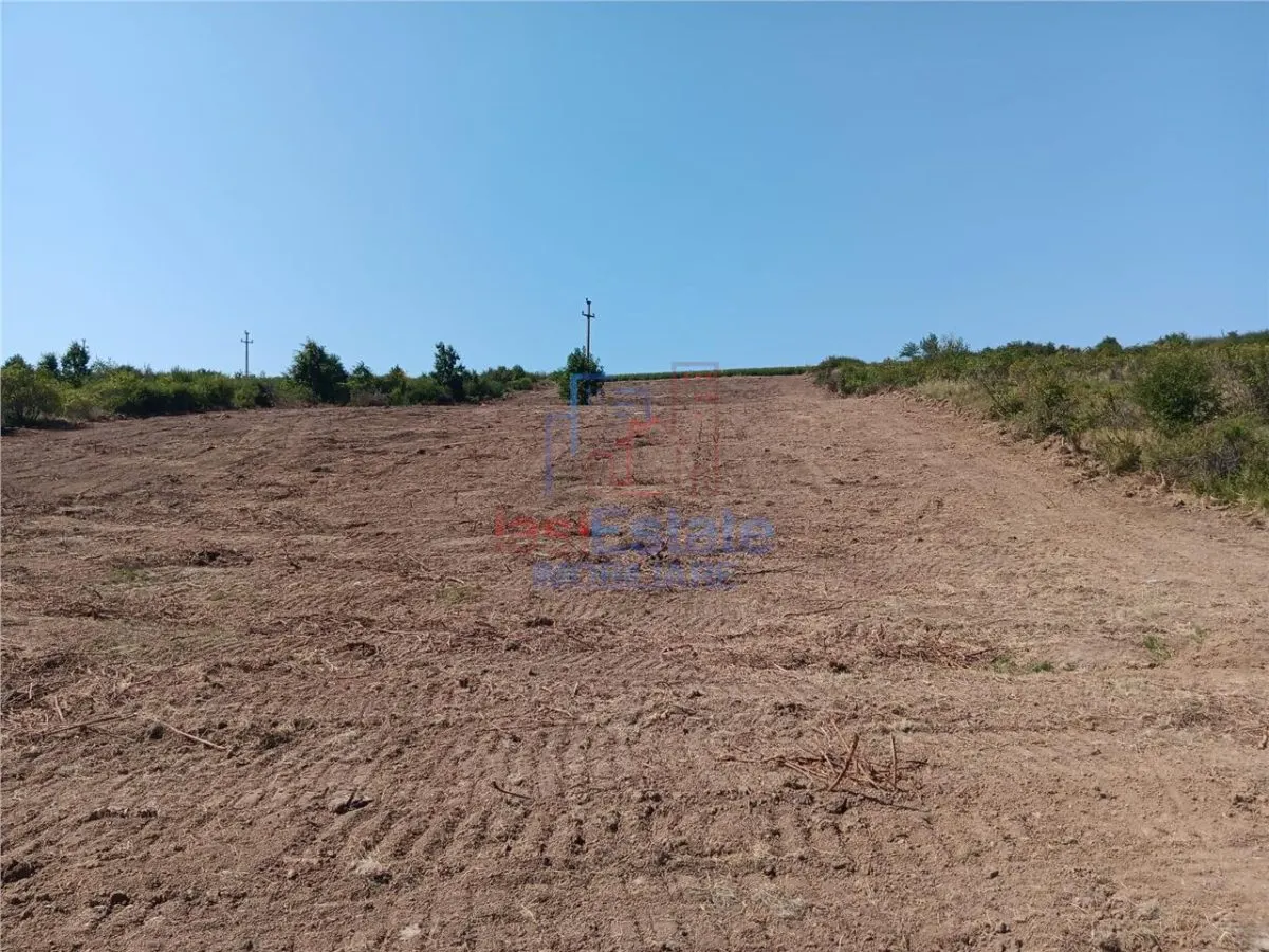 Opportunité Exceptionnelle: Terrain Sorogari 10 000 m² Plan Urbain Approuvé et Réseaux - foto 11