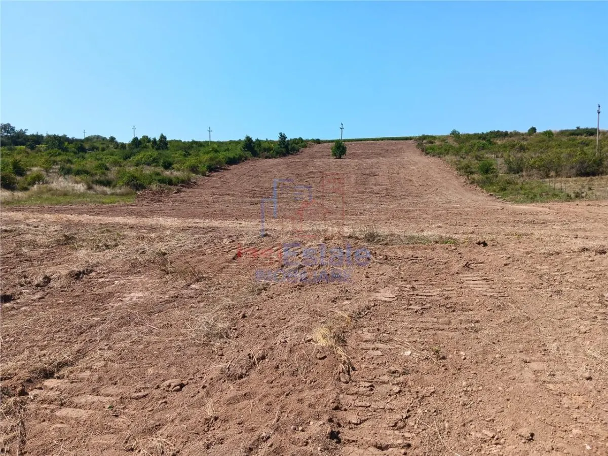 Opportunité Exceptionnelle: Terrain Sorogari 10 000 m² Plan Urbain Approuvé et Réseaux - foto 12